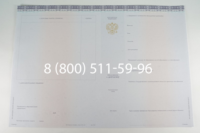 Диплом бакалавра (Киржач) 2014-2024 года в Пятигорске