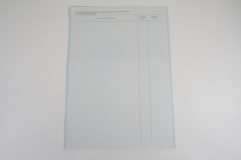Диплом о начальном образовании  2007-2009 годов в Пятигорске